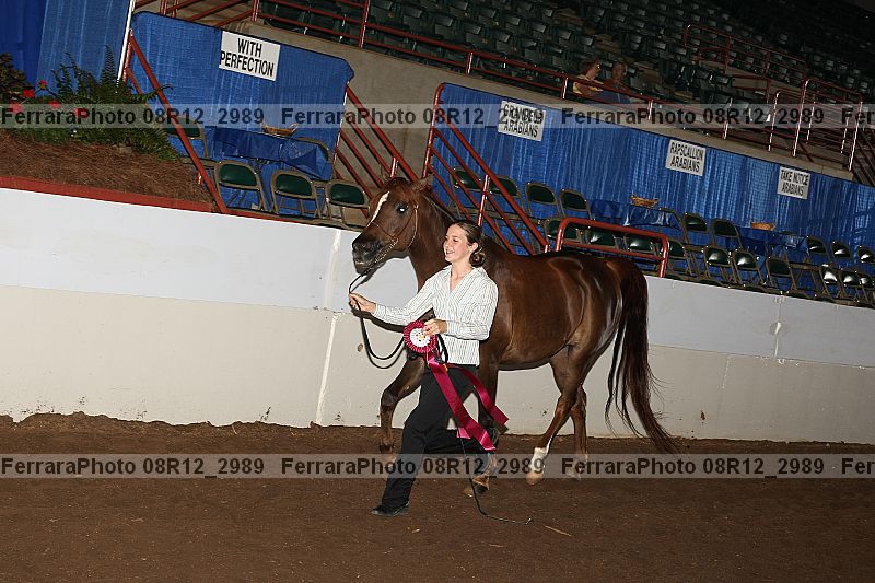 Proof 08r12_2989