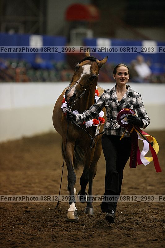 Proof 08r12_2993