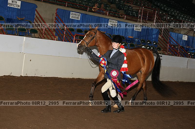 Proof 08r12_2995