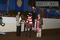 08r12_3002 proof