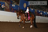 08r12_3042 proof