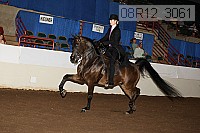 08r12_3061 proof