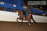 08r12_3063 proof