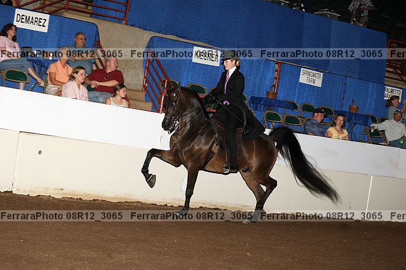 Proof 08r12_3065