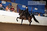 08r12_3065 proof