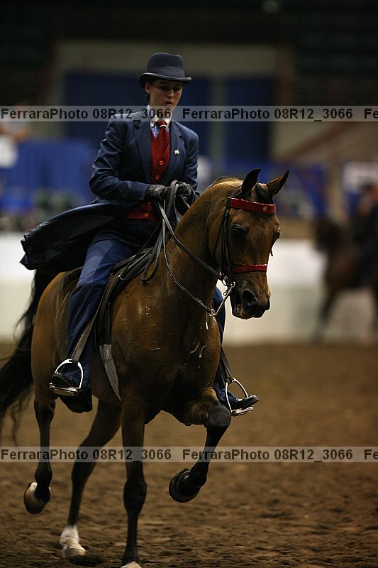 Proof 08r12_3066