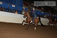 08r12_3067 proof