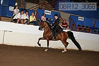 08r12_3068 proof