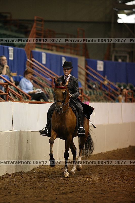 Proof 08r12_3077