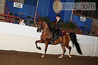 08r12_3078 proof