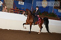08r12_3082 proof