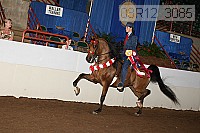 08r12_3085 proof