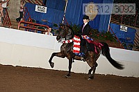 08r12_3092 proof