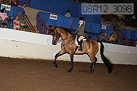 08r12_3098 proof