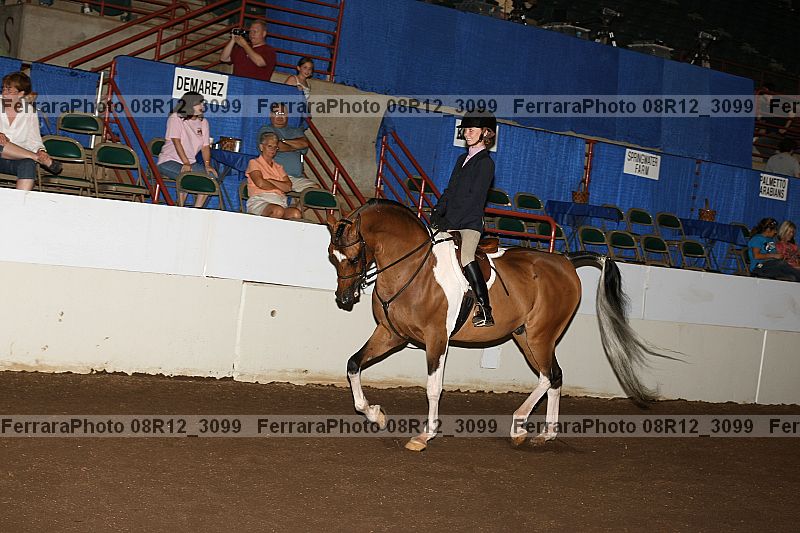 Proof 08r12_3099