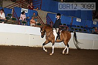 08r12_3099 proof