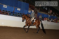 08r12_3100 proof