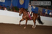 08r12_3114 proof