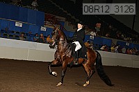08r12_3126 proof