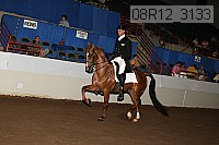 08r12_3133 proof