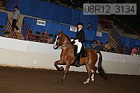 08r12_3134 proof