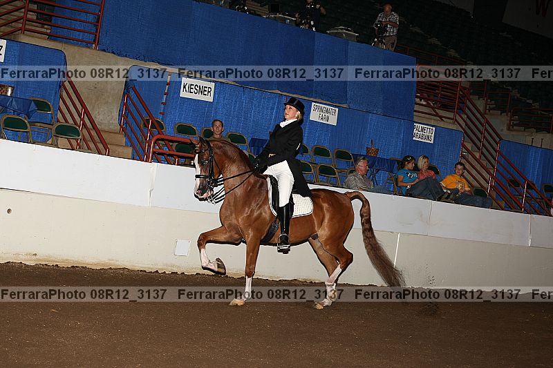 Proof 08r12_3137