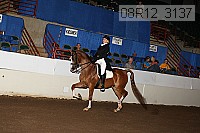 08r12_3137 proof