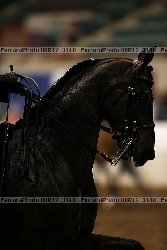 Proof 08r12_3140