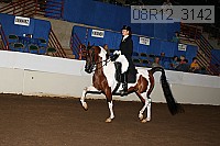 08r12_3142 proof