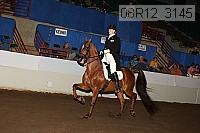 08r12_3145 proof