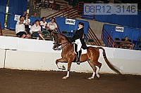 08r12_3146 proof
