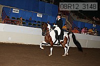 08r12_3148 proof