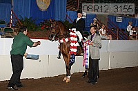 08r12_3155 proof