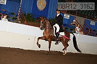 08r12_3162 proof