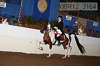 08r12_3164 proof