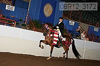 08r12_3172 proof