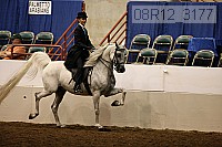 08r12_3177 proof
