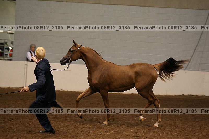Proof 08r12_3185