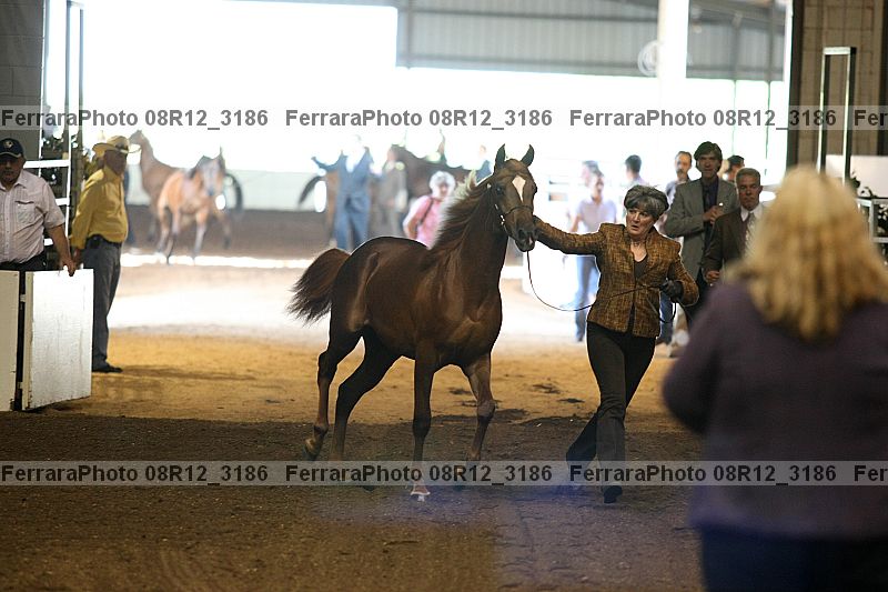 Proof 08r12_3186