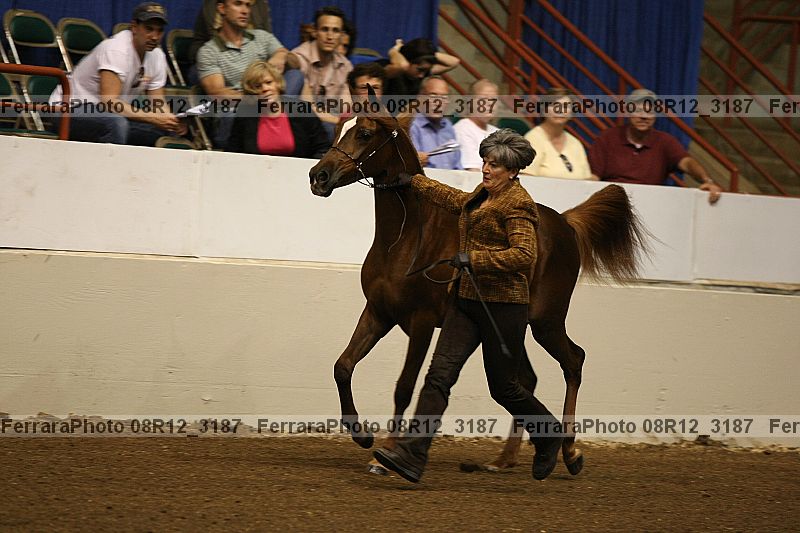 Proof 08r12_3187
