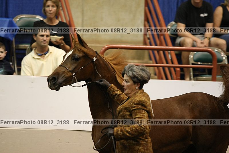 Proof 08r12_3188
