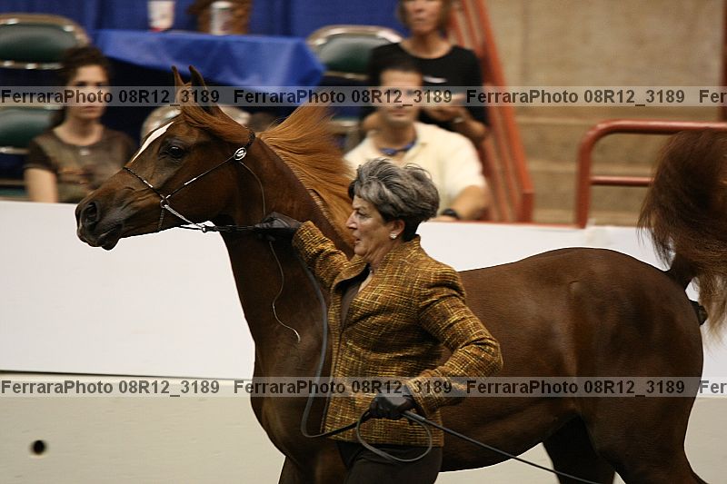 Proof 08r12_3189