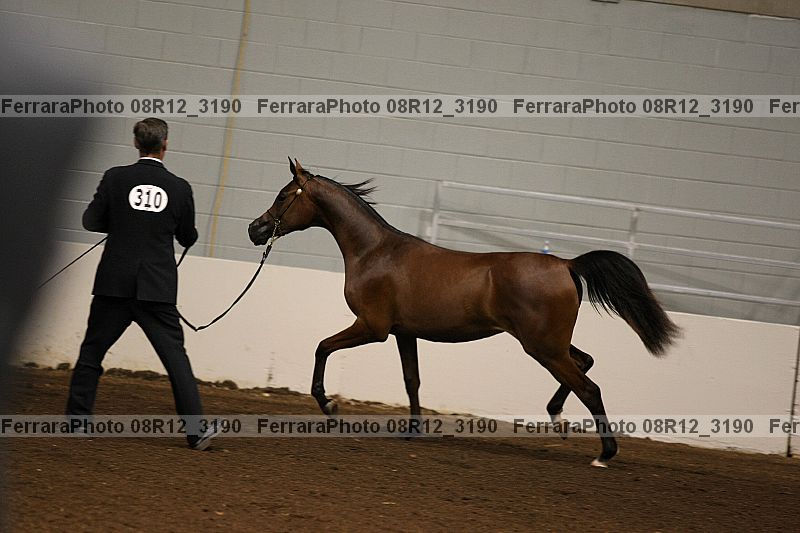 Proof 08r12_3190