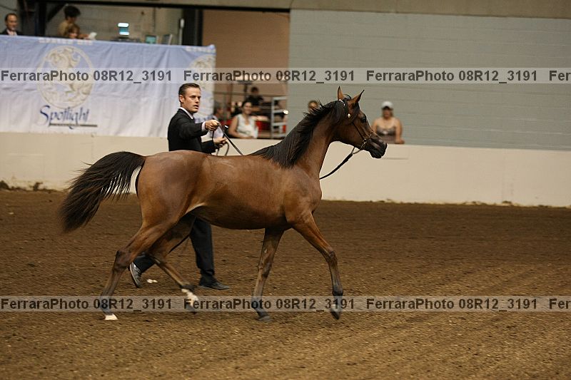 Proof 08r12_3191