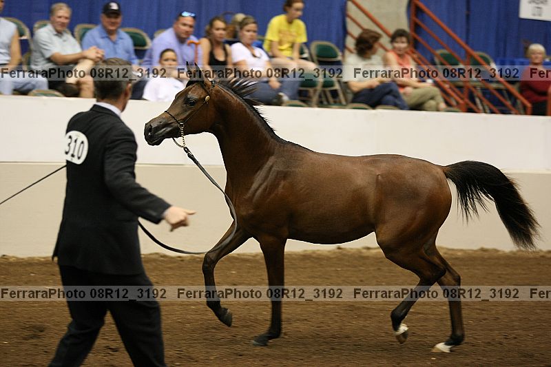 Proof 08r12_3192