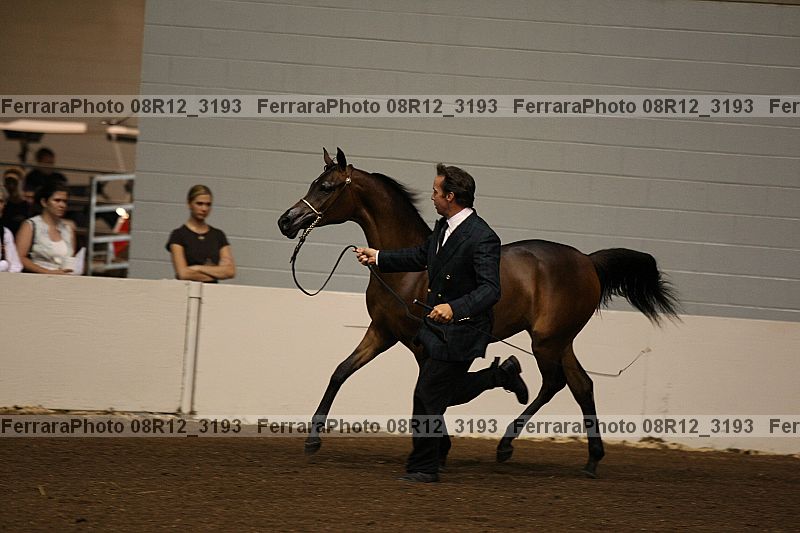 Proof 08r12_3193