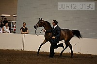 08r12_3193 proof
