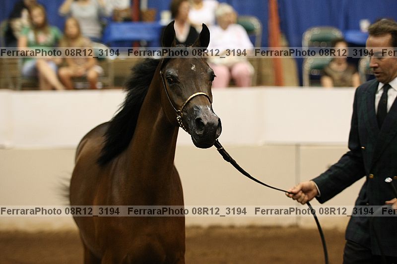 Proof 08r12_3194
