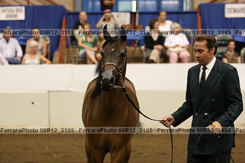 Proof 08r12_3195