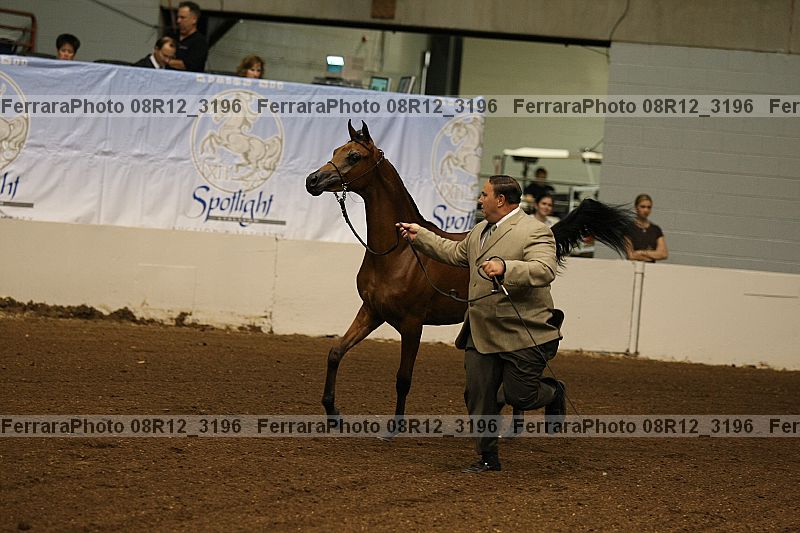 Proof 08r12_3196